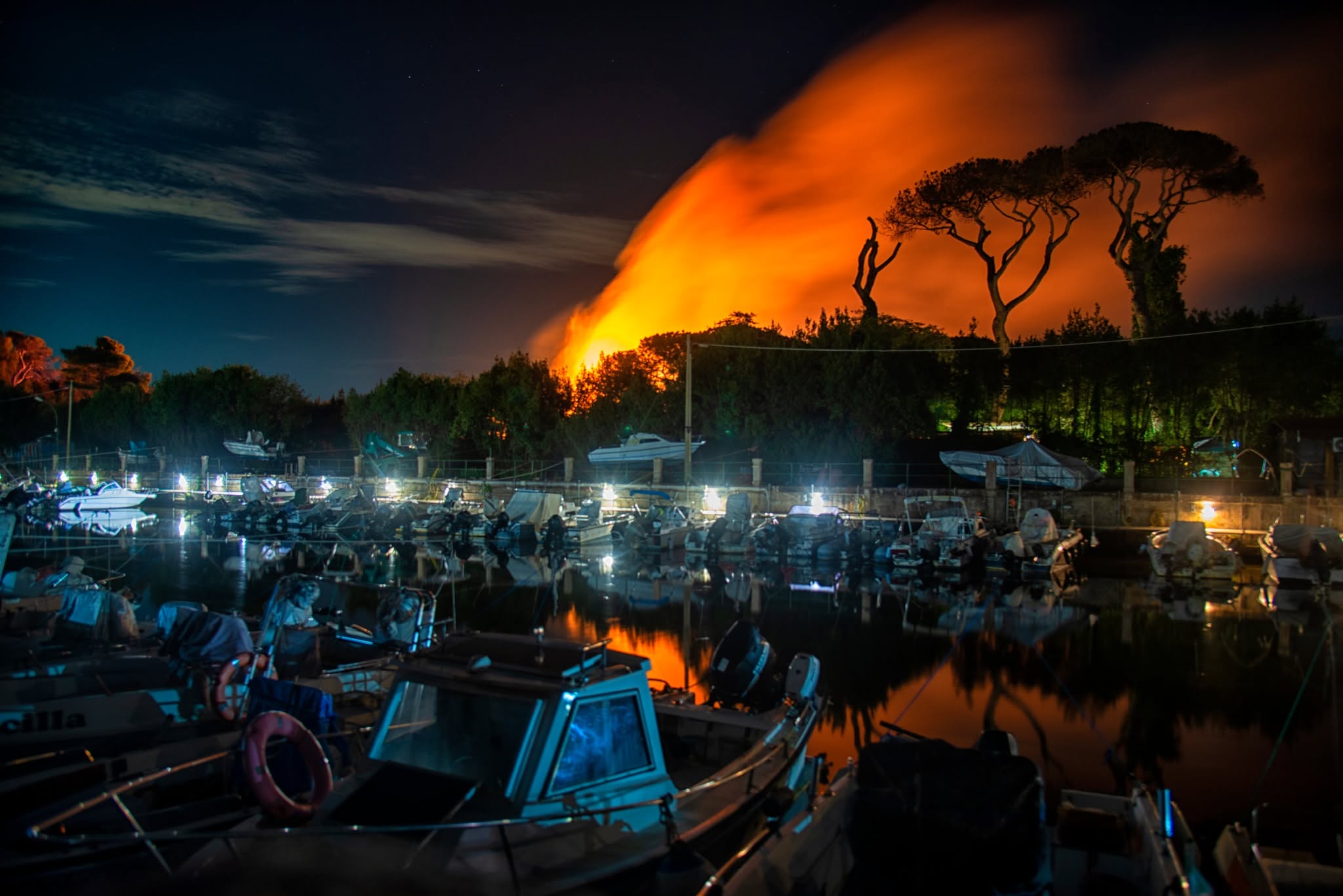 La moria dei pini a Ostia e il clima globale: perch� guardiamo il dito e non la Luna?